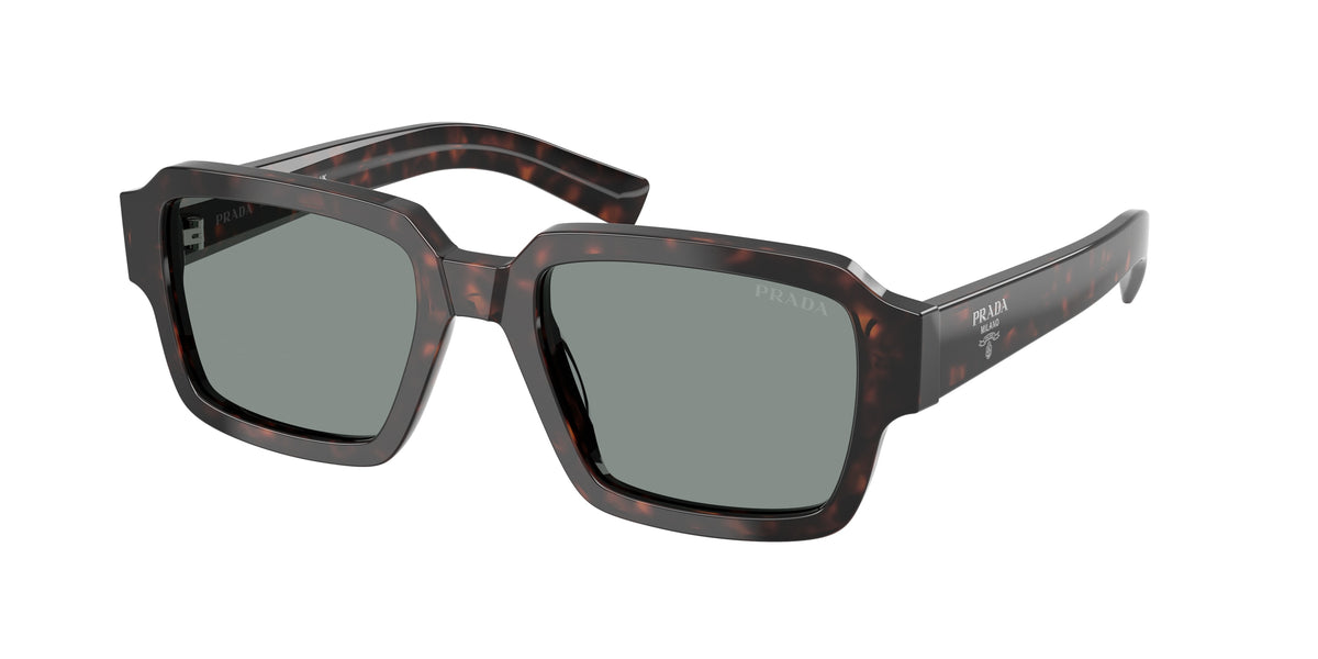 Prada PR 02ZS – Écaille de tortue racine 17N20N