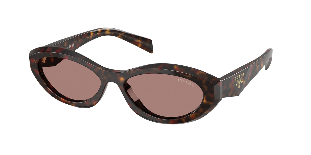 Prada PR 26ZS – Écaille de tortue racine 17N60B