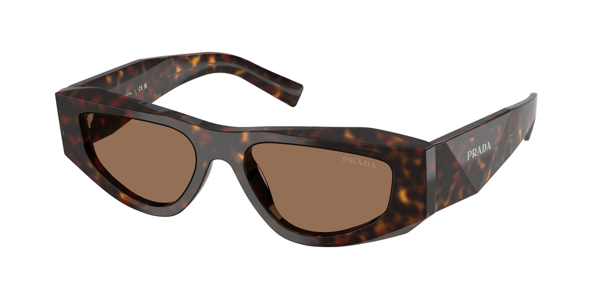 Prada PR B19S – Écaille de tortue racine 17N06B