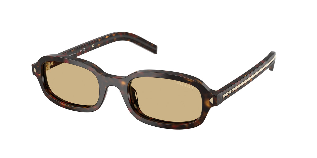 Prada PR D06S – Écaille de tortue racine 17N70R