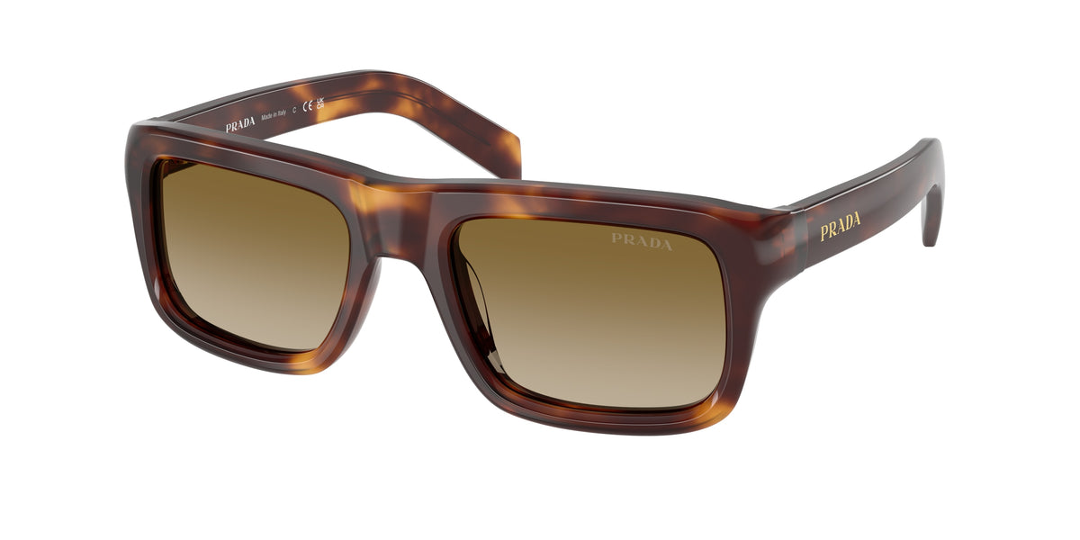 Prada PR D11S – Écaille de tortue classique 15W20U