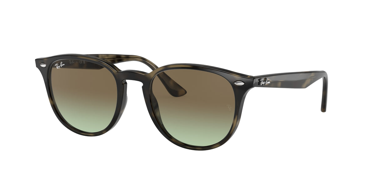 Ray-Ban RB4259 – Gris Havana 731/E8