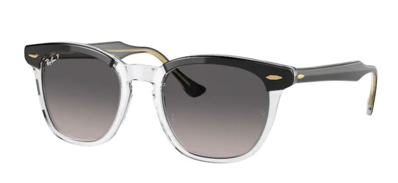 Lunettes de Soleil Ray-Ban RB2298