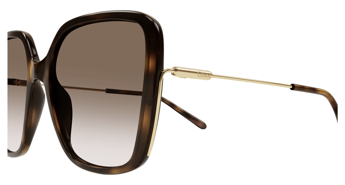 Lunettes de Soleil Chloe CHLOÉ CH0173S