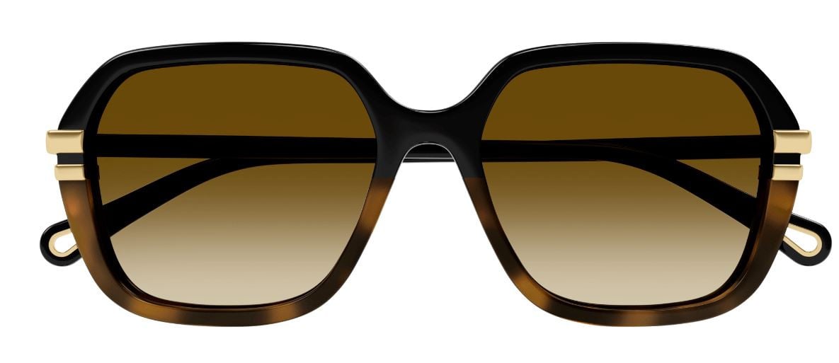 Lunettes de Soleil Chloe CH0204S