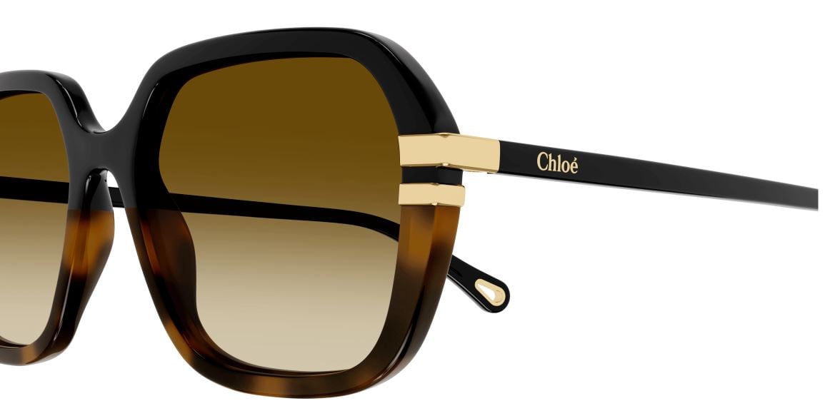 Lunettes de Soleil Chloe CH0204S