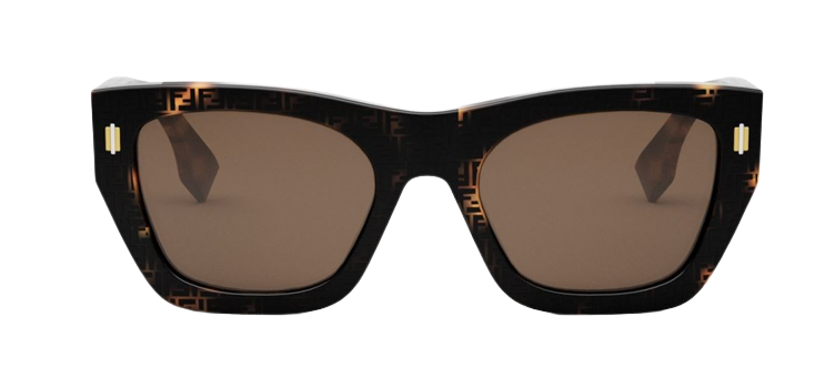FE40100I - vue supplementaire