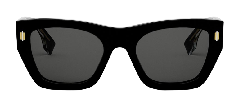 FE40100I - vue supplementaire