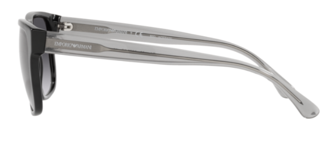 Lunettes de Soleil Emporio Armani EA4163