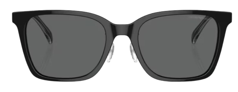 Lunettes de Soleil Emporio Armani EA4226D