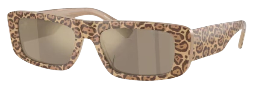 https://cdn.shopify.com/s/files/1/1002/4802/7462/files/191937_c2e47709-3f11-46f8-8bf3-cab459afcfc3.jpg