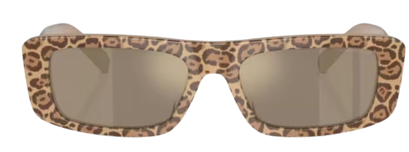 Lunettes de Soleil Emporio Armani EA4229U