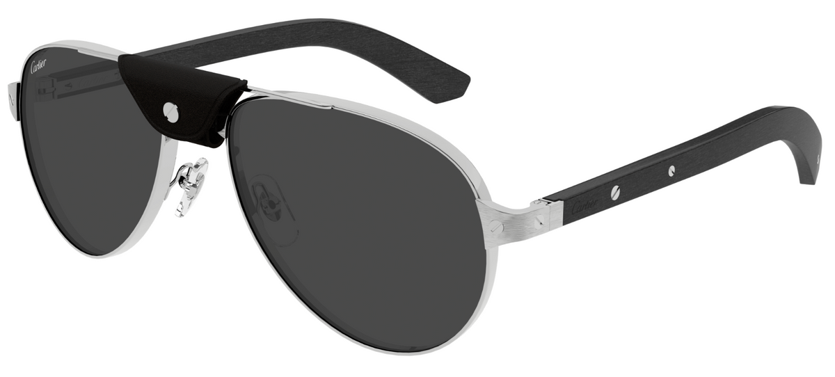 Lunettes de soleil Cartier Santos CT0495S - Argent (003)