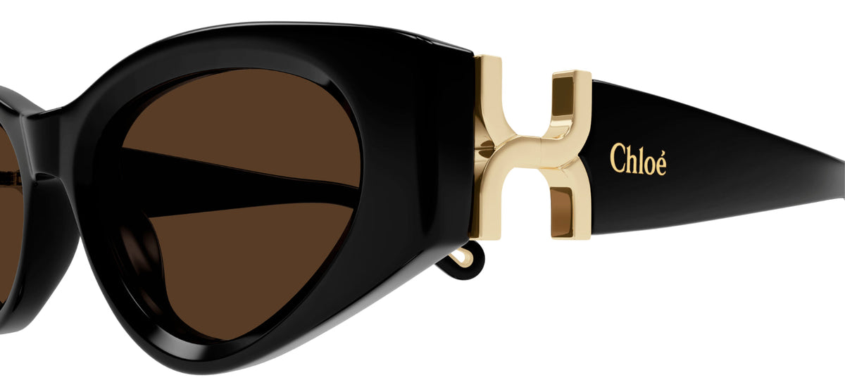 Lunettes de Soleil Chloé CH0259S