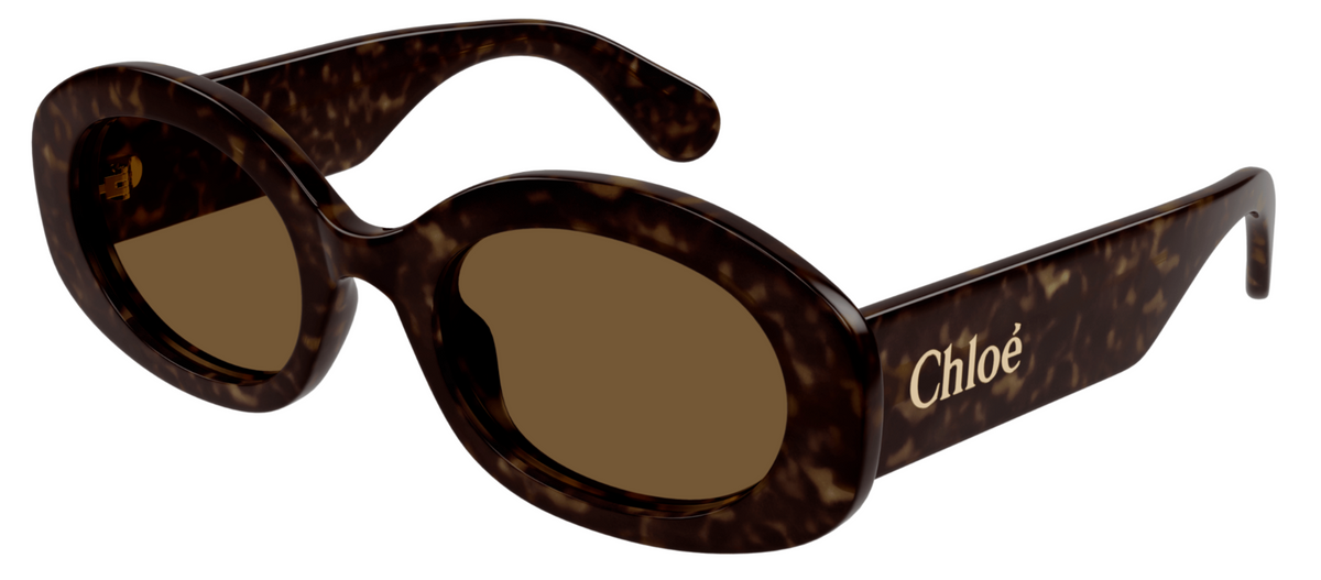 CH0258S-002