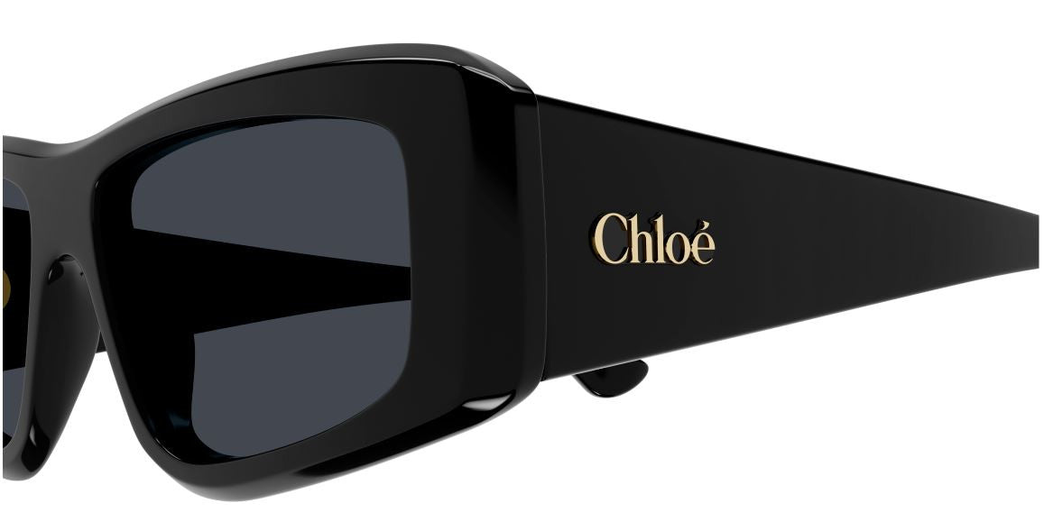 Lunettes de Soleil Chloe CH0299S
