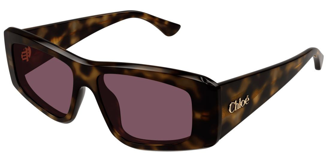 CH0299S 002