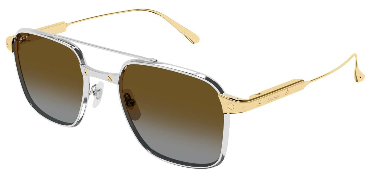 Lunettes de soleil Cartier Exception CT0610S - Argent (003)
