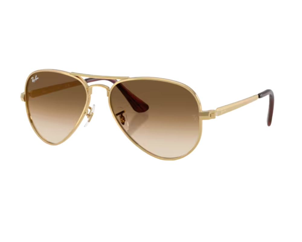 Ray-Ban RB3925 Dore arista 001/51