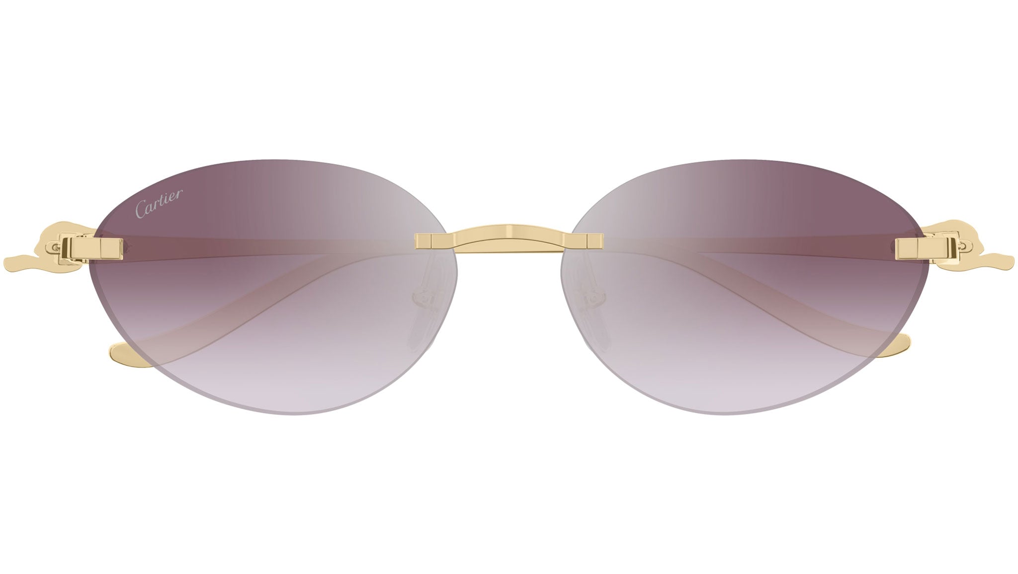 Lunettes de soleil Cartier Panthère CT0504S