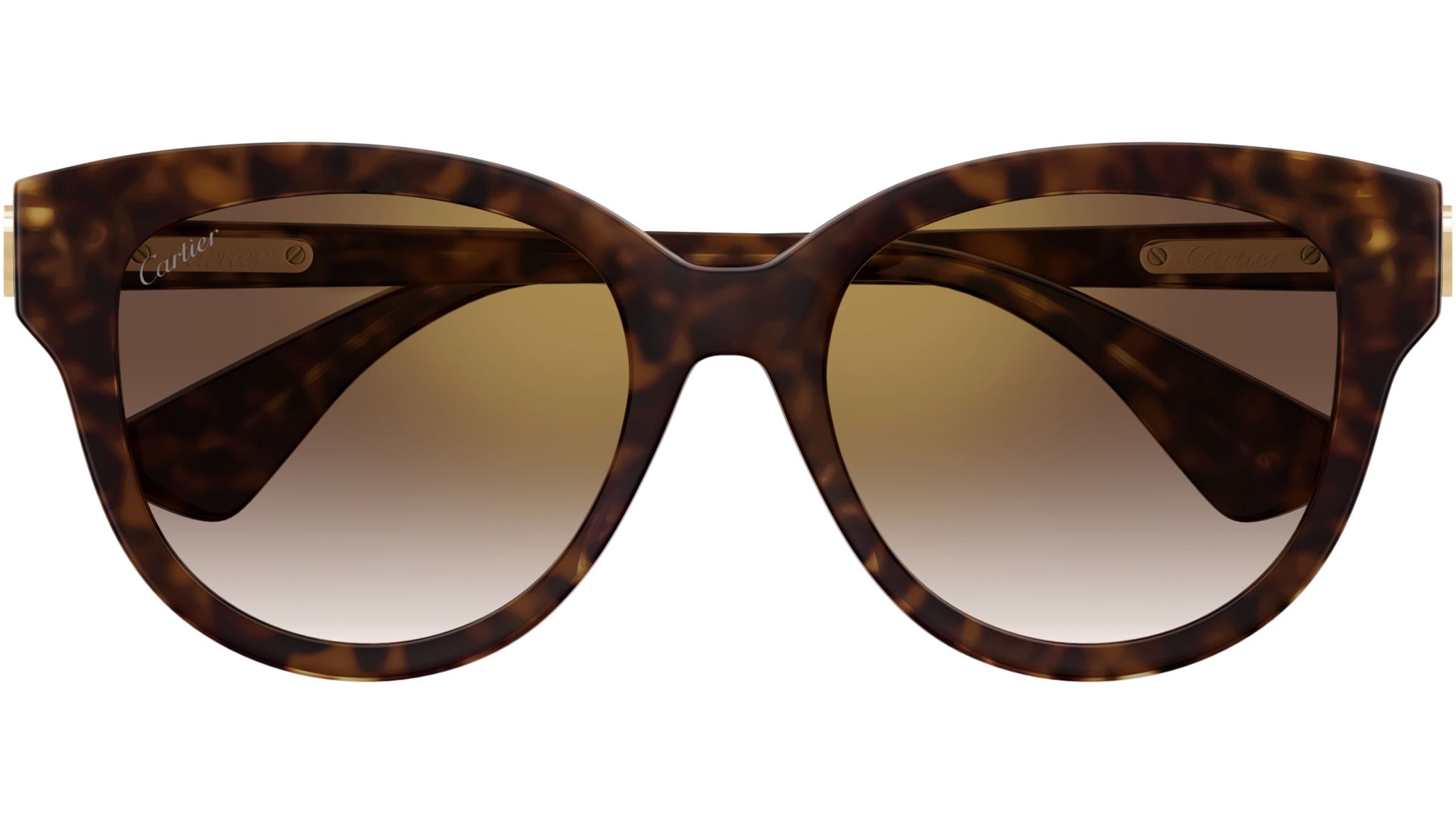 Lunettes de soleil Cartier Signature C CT0506S