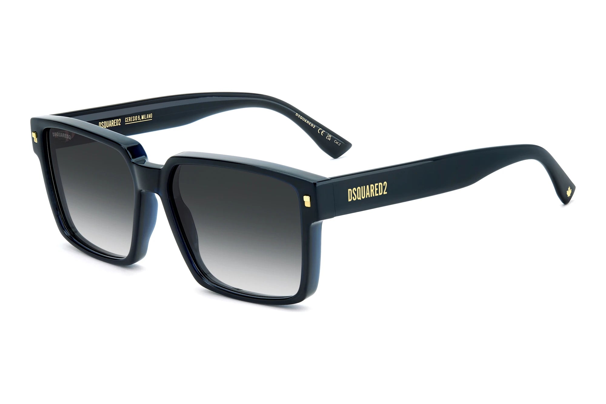 DSQUARED2 D2 0202/G/S 208777PJP589O
