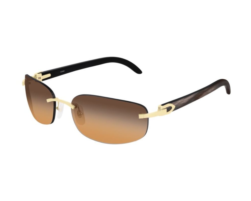 Cartier CT0020RS