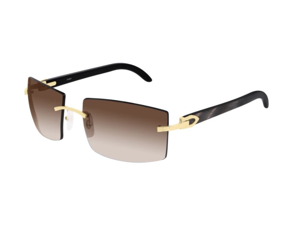 Cartier CT0021RS