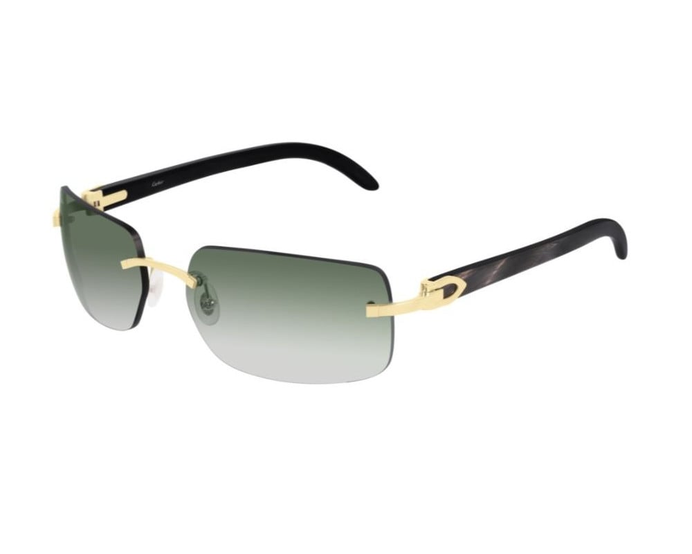 Cartier CT0022RS