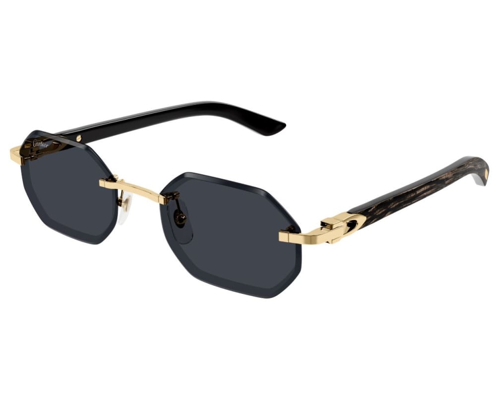 Cartier CT0439S Noir