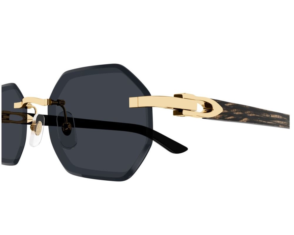 Cartier CT0439S Noir