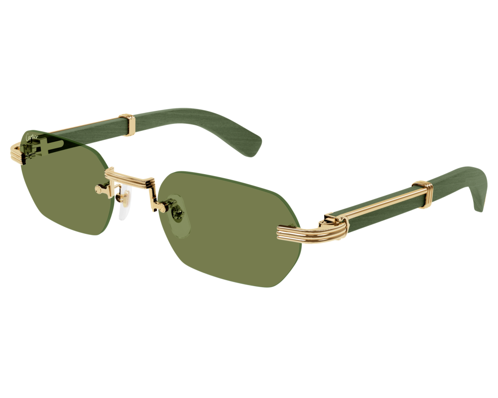 Cartier CT0362S