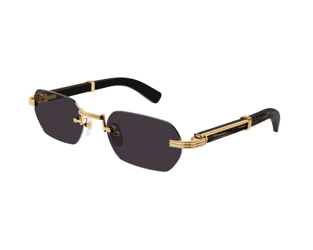 Cartier CT0362S
