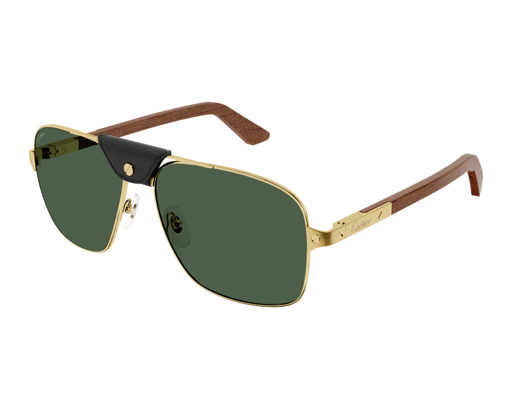 Cartier CT0389S