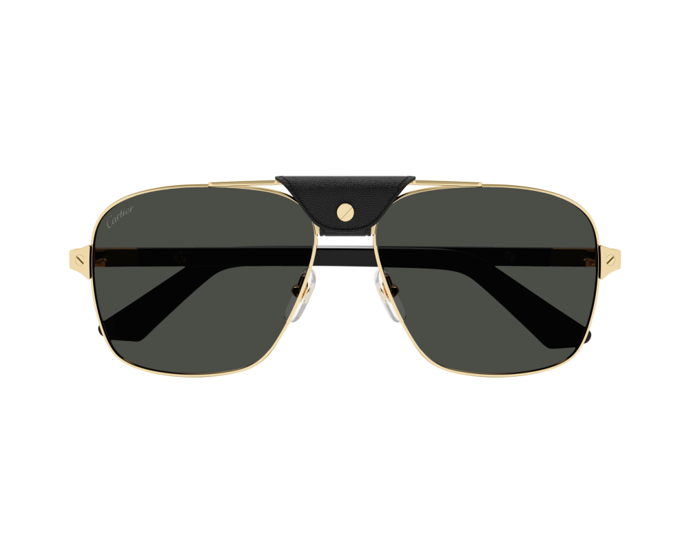 Cartier CT0389S