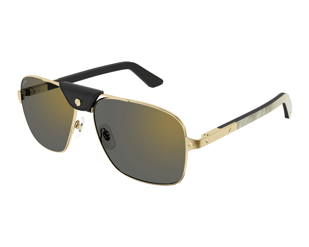 Cartier CT0389S
