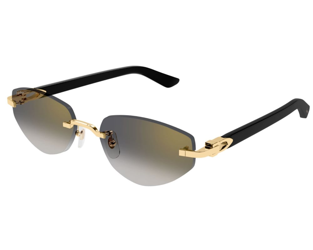 Cartier CT0580S