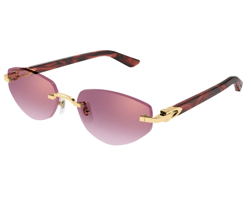 Cartier CT0580S