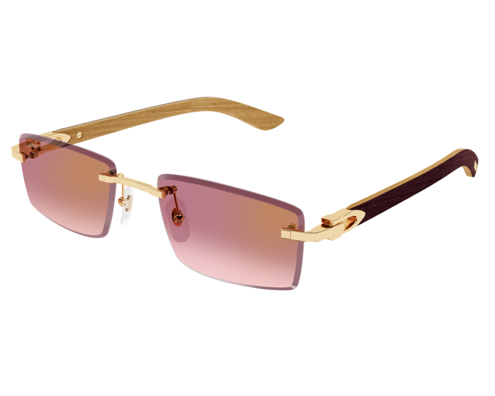 Cartier CT0582S