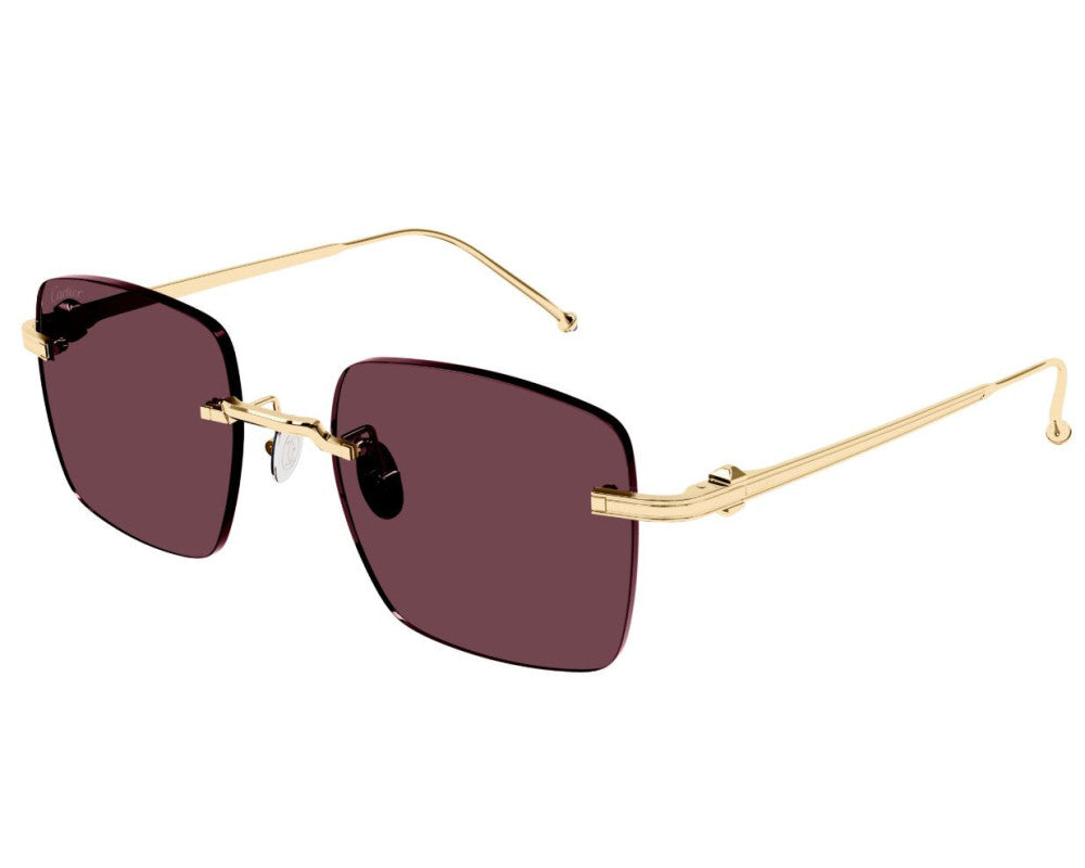 Cartier CT0403S