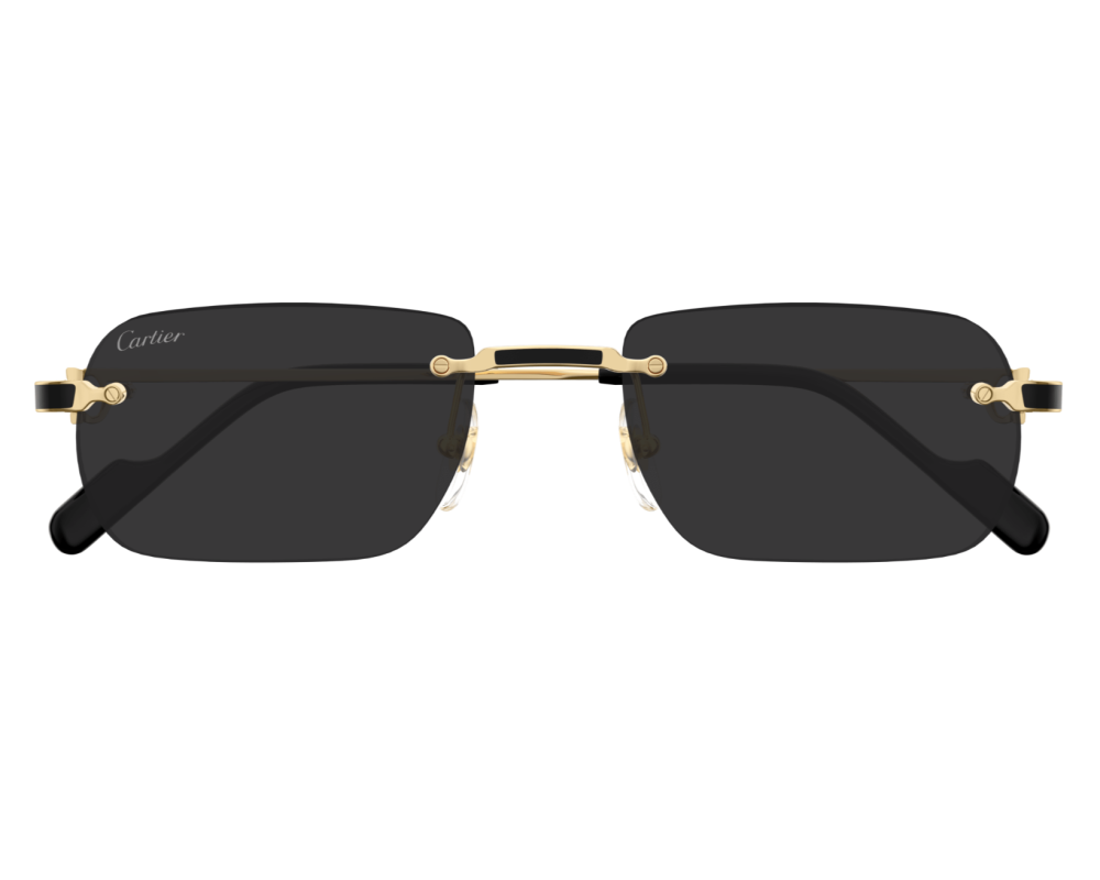 Cartier CT0498S