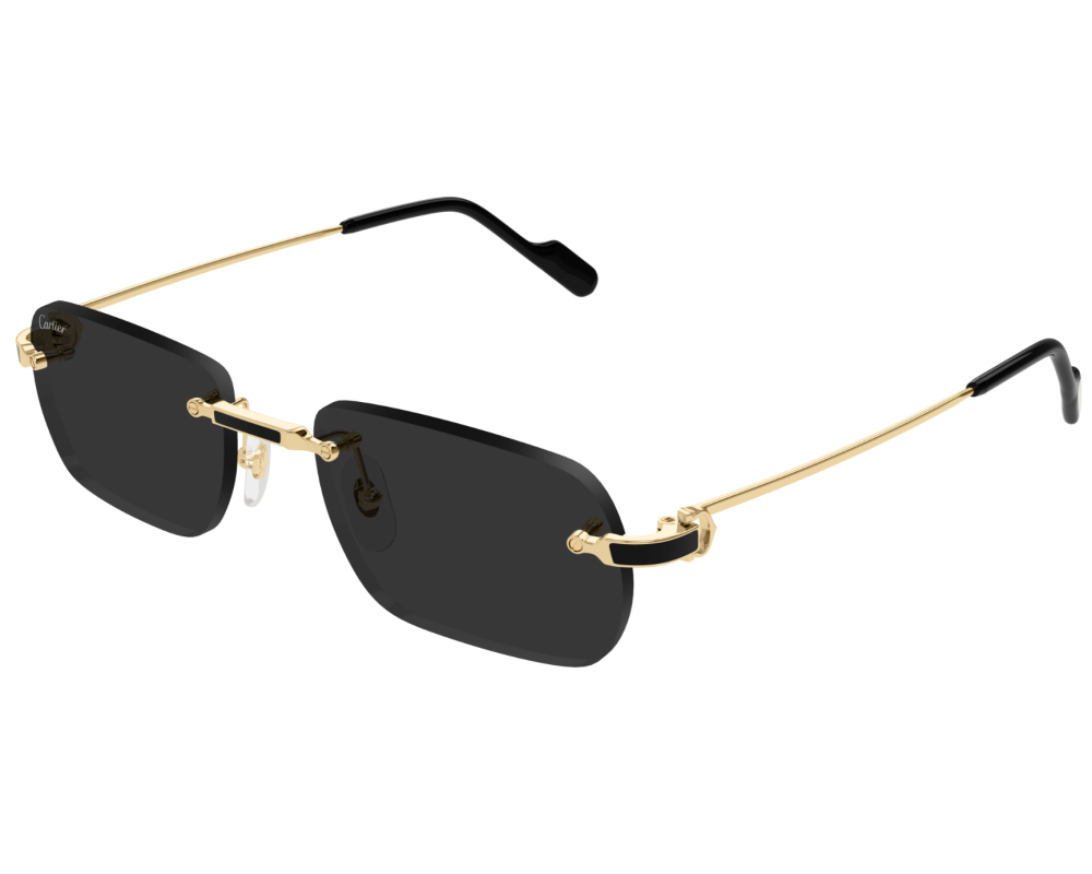 Cartier CT0498S