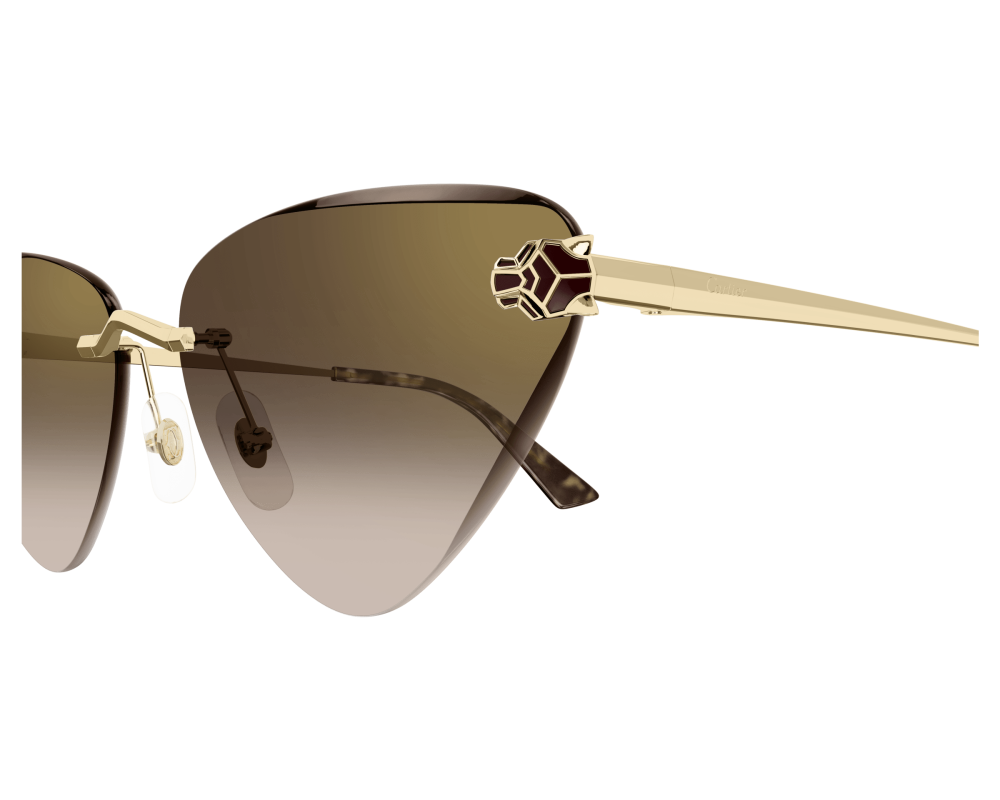 Cartier CT0399S
