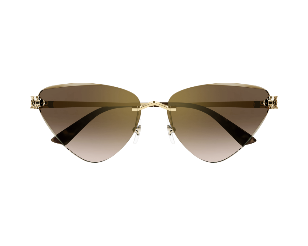 Cartier CT0399S