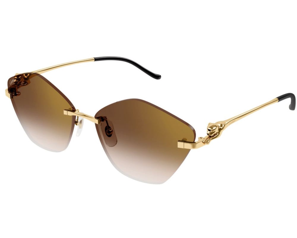 Cartier CT0429S