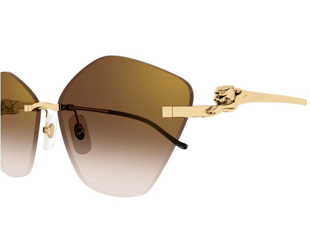 Cartier CT0429S