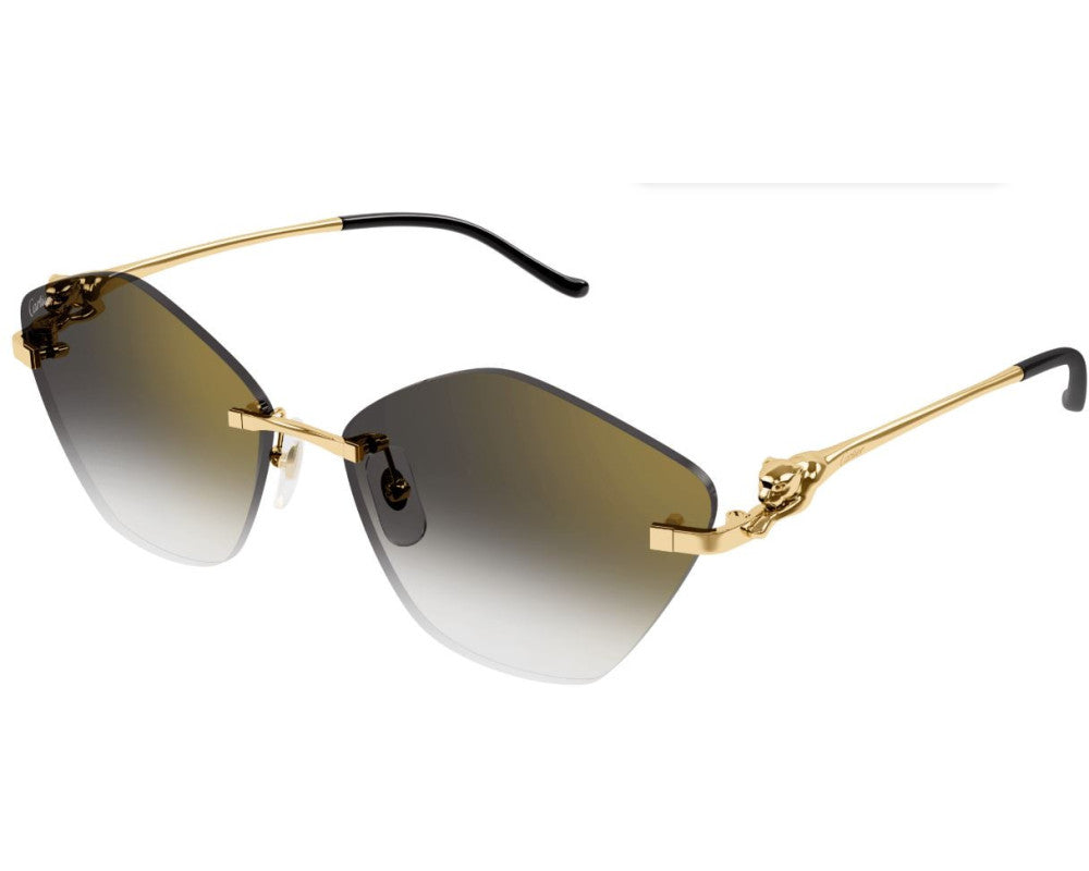 Cartier CT0429S