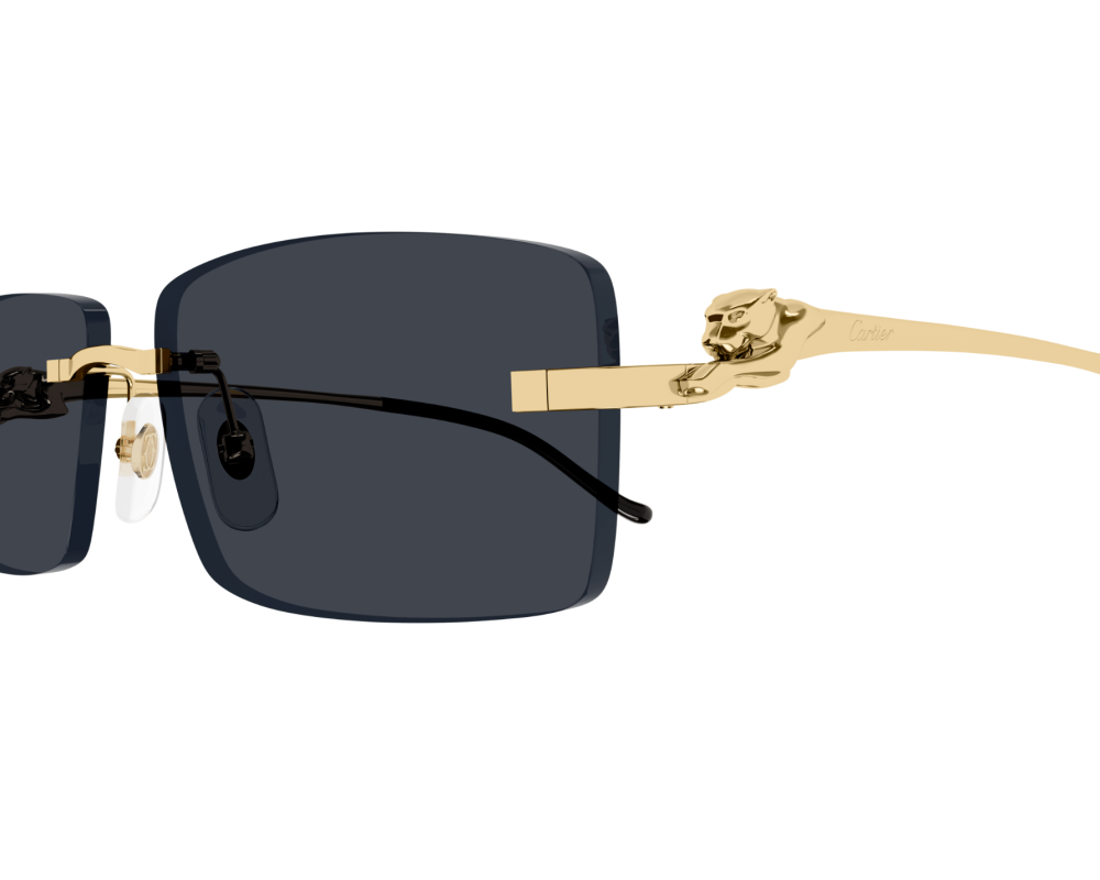 Cartier CT0430S