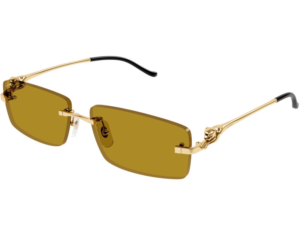 Cartier CT0430S