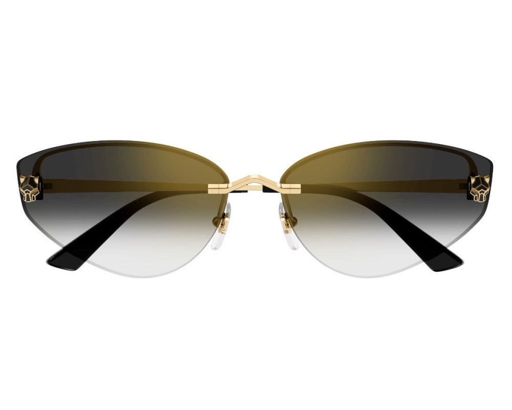 Cartier CT0431S